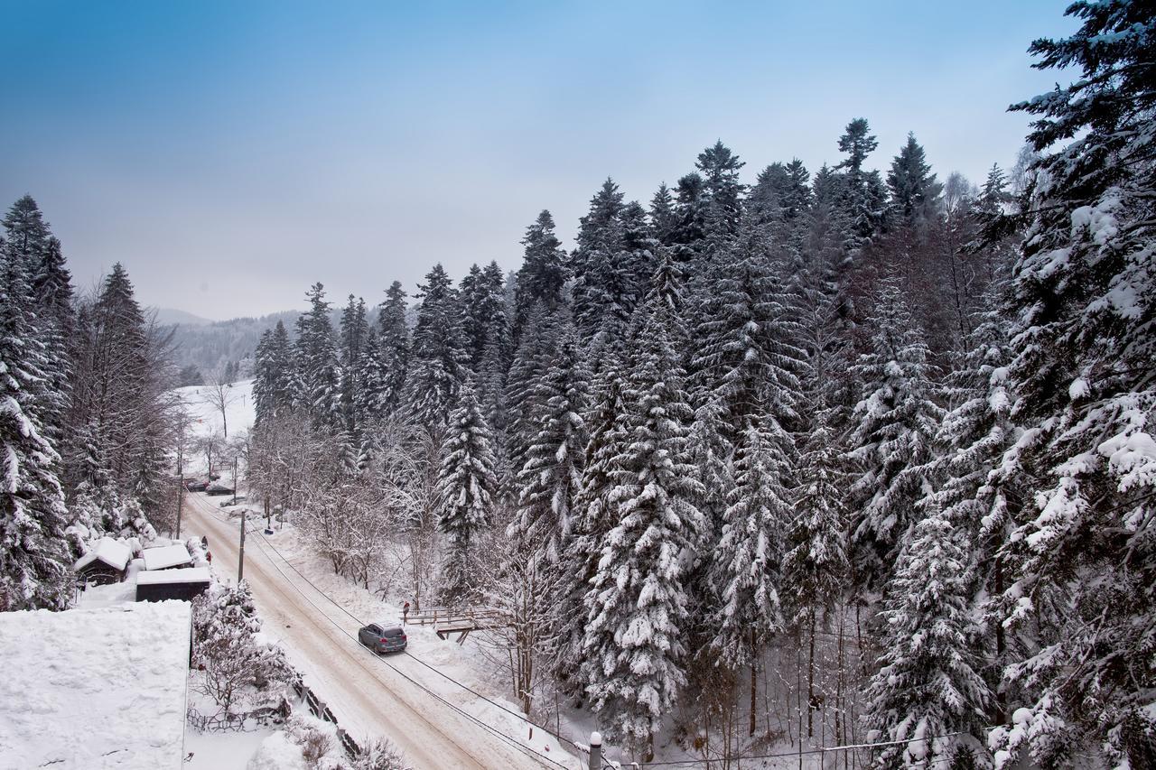 Apartamenty Sun & Snow Zielona Krynica Zdroj Eksteriør bilde