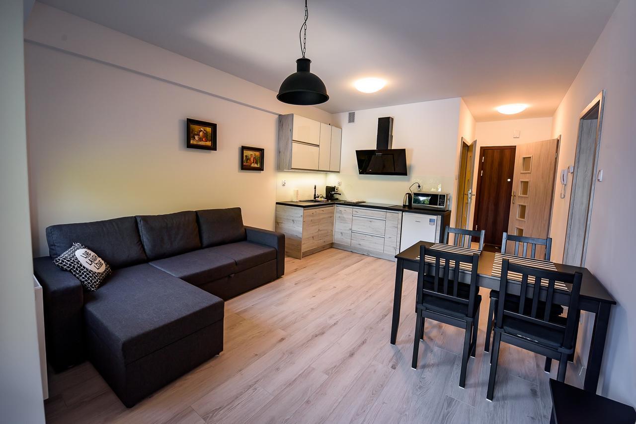 Apartamenty Sun & Snow Zielona Krynica Zdroj Eksteriør bilde